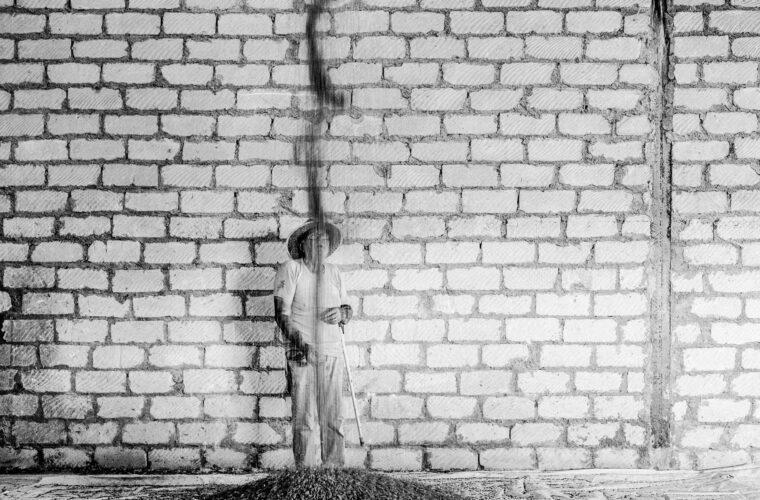 Grano. Straordinaria normalità