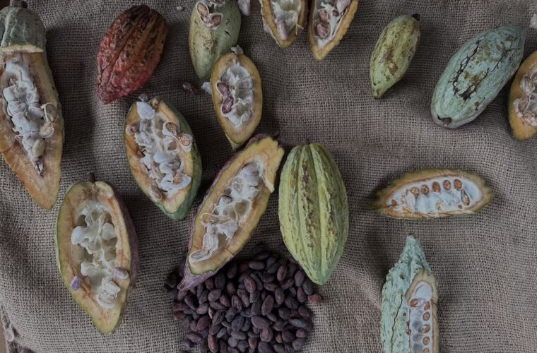 Le parole del cioccolato